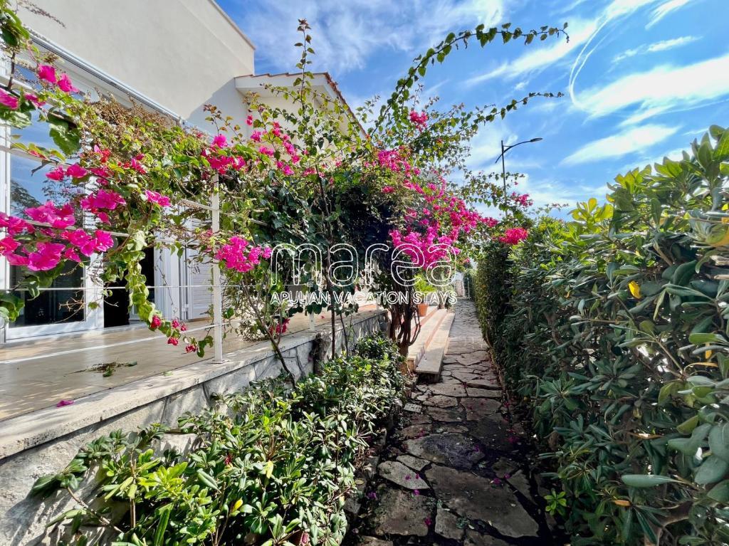 Villa Nauna, Fronte Mare Con Giardino E Terrazzo - Marea Stays Collection Nardò Kültér fotó